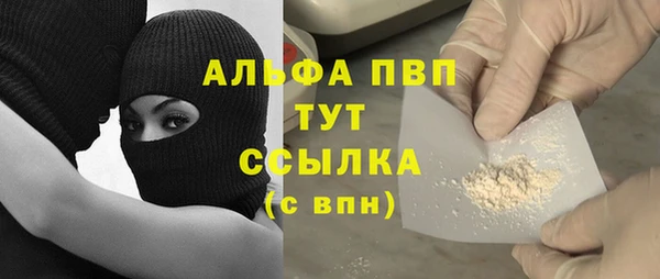 ГАЛЛЮЦИНОГЕННЫЕ ГРИБЫ Нестеровская