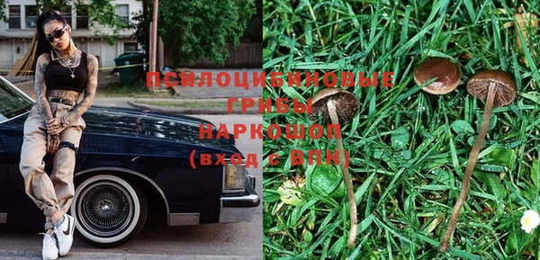 молекула духа Фёдоровский