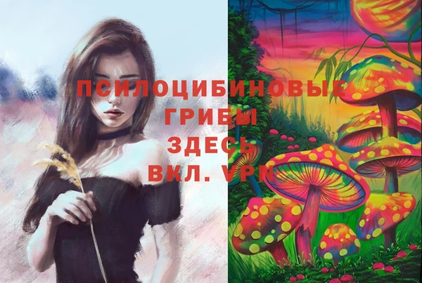 спиды Бронницы