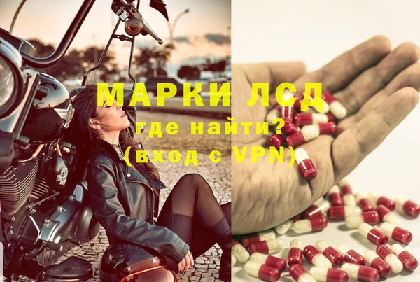 молекула духа Фёдоровский