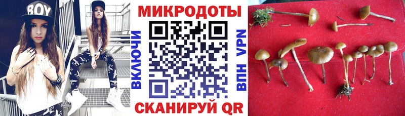 МЕГА как войти  где купить наркотик  Отрадная  Псилоцибиновые грибы Magic Shrooms 